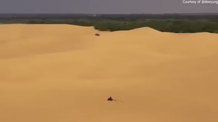 Vast sand dunes, an unexpected and peculiar geological formation in Oklahoma.