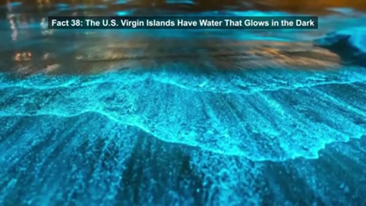 Stunning bioluminescent waters in the U.S. Virgin Islands, a remarkable natural wonder.