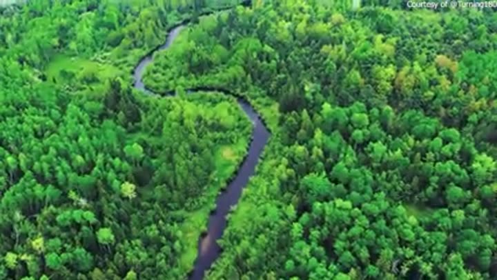 Aerial view of a winding river through dense forest, forming a natural border.