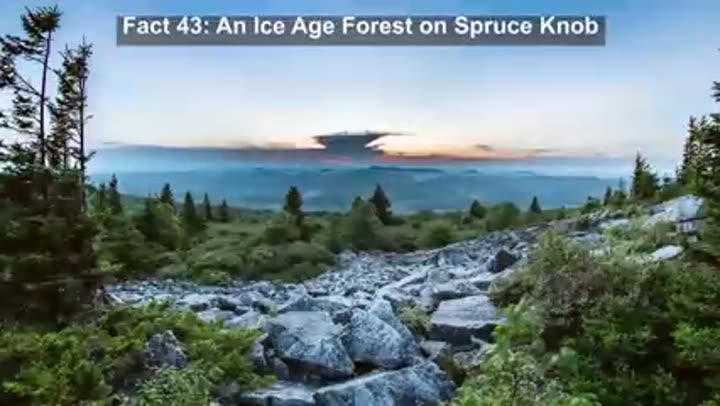 Spruce Knob's unique Ice Age forest, a rare ecological time capsule in West Virginia.