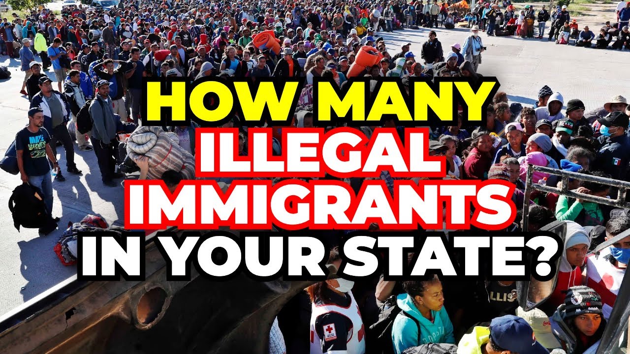 A vast gathering of individuals, symbolizing the national scope of immigration challenges.